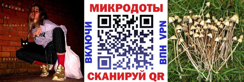 цены наркотик Тольятти Галлюциногенные грибы MAGIC MUSHROOMS